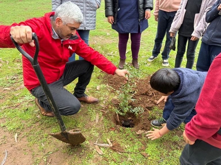 Municipio de Cholchol promueve la educación ambiental con plantación de árboles nativos en escuela rural pichi rayen