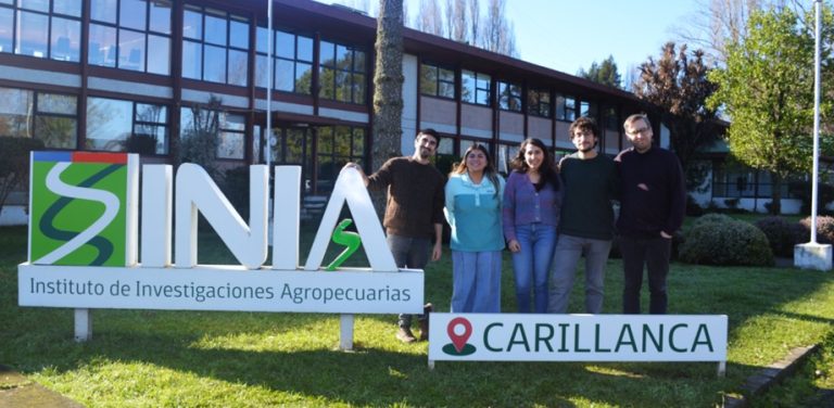 Para estudiar eficiencia de fertilizantes orgánicos en trigo