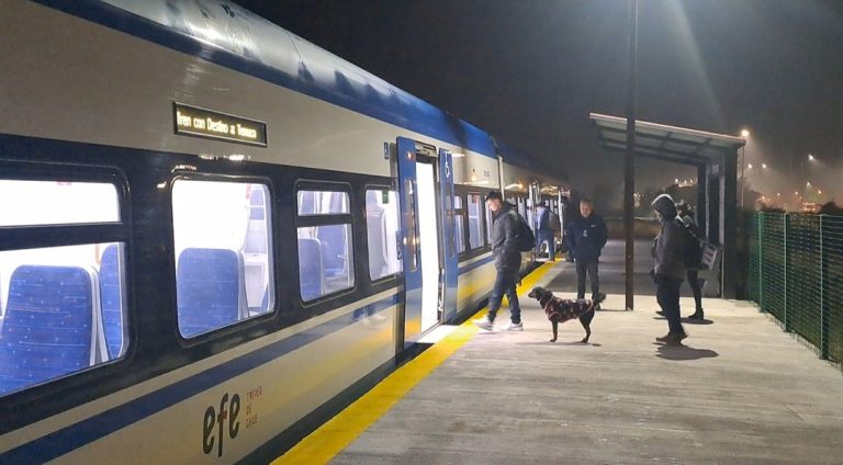 Extensión ferroviaria Temuco Gorbea estará lista en 2027