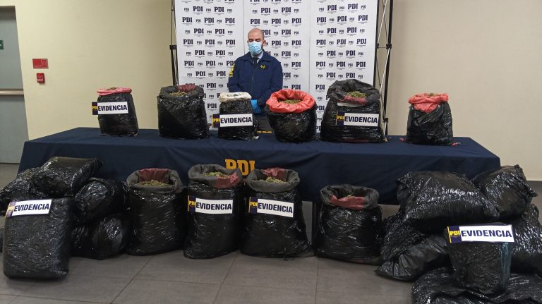 PDI Temuco decomisa 100 kilos de cannabis sativa con destino a la zona lacustre