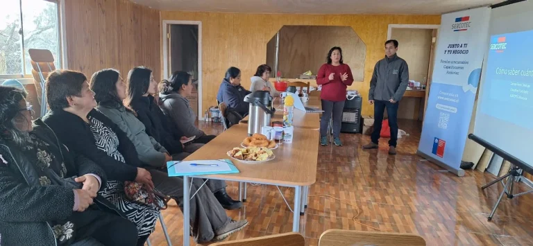 Capacitación de Sercotec Araucanía potencia el trabajo de mujeres mapuche de Botrolhue