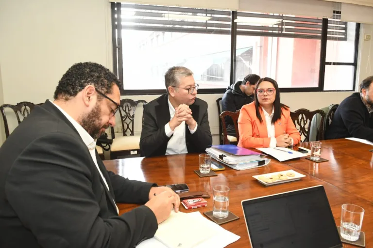 Reparación escuelas La Araucanía: apoyo del Mineduc para infraestructura y seguridad