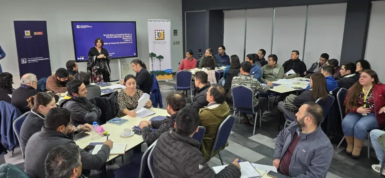 Gobierno de La Araucanía presento avances de la Política Pública Regional de Fomento Productivo a encargados de desarrollo de los municipios