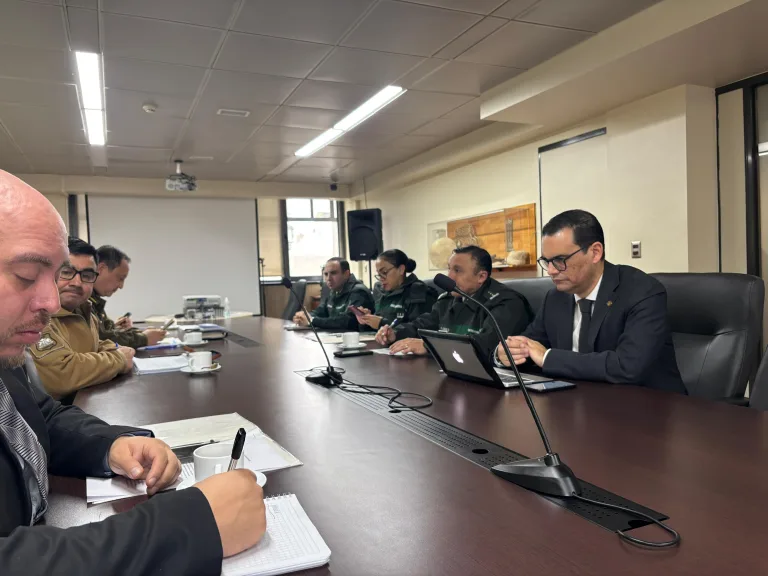 Delitos de mayor connotación bajan 9,7% en La Araucanía