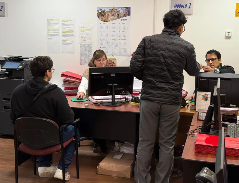 Sistema de licencia de conducir digital Pucón inicia en julio