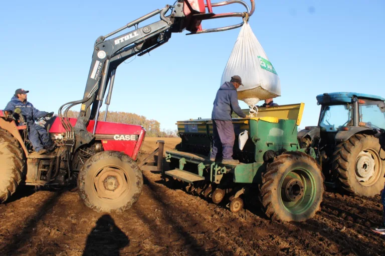 Iniciativa permitirá a productores de trigo de La Araucanía asegurar venta con molinos