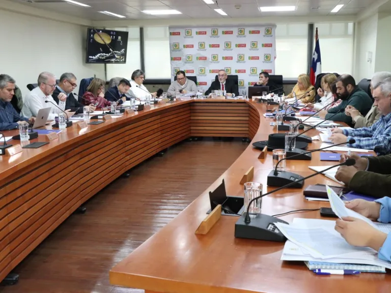 Organizaciones sociales tienen plazo hasta el 30 de junio para postular a fondos de Vinculación con la Comunidad 2025