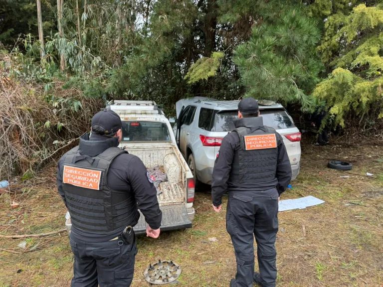 Dron de seguridad municipal detectó escondite de vehículos robados en sector rural de Temuco