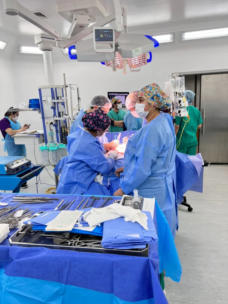 Hospital de Pitrufquén realiza primer procuramiento renal y se integra a red de donación de órganos