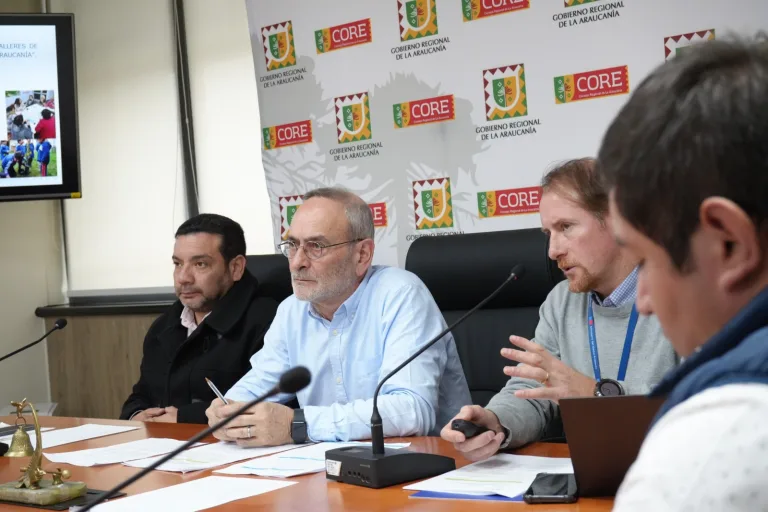 Comité Regional de Cambio Climático (CORECC) define representantes municipales para enfrentar problemáticas ambientales en La Araucanía