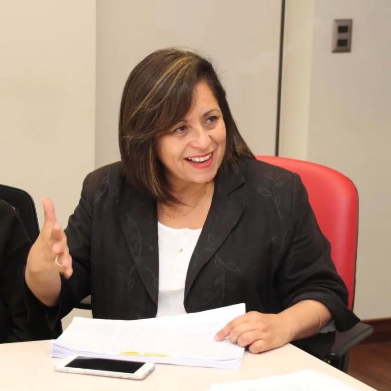 La Araucanía 2040: nuestra brújula para un desarrollo con identidad y equidad