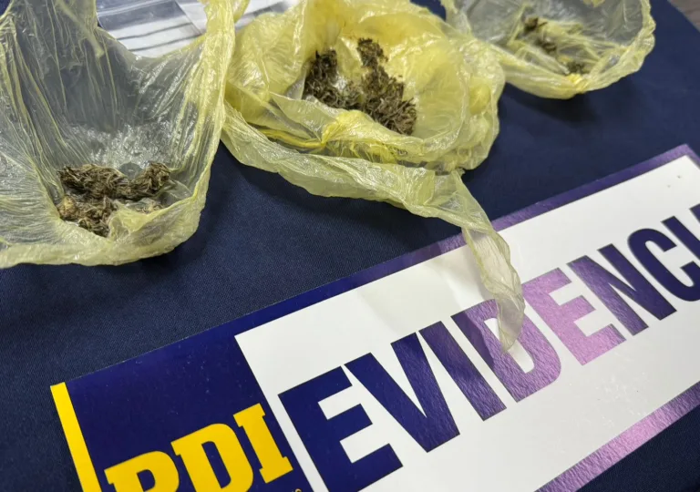 En Traiguén: Detectives detienen a mujer por microtráfico de drogas