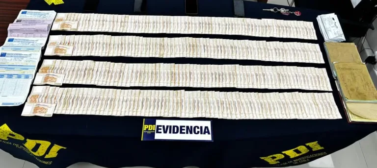 Detención por robo y abigeato en Traiguén: PDI arresta a último implicado