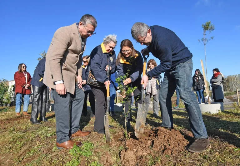 Árboles nativos revitalizan el Parque Pedro de Valdivia