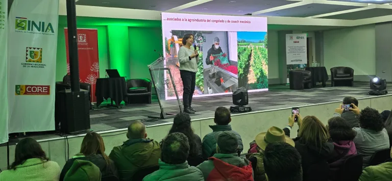Seminario para productores de berries fortalece el sector agrícola regional