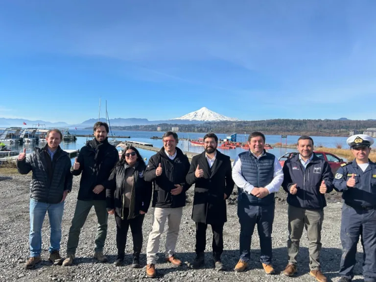 Autoridades impulsan plan para mejorar la salud del Lago Villarrica