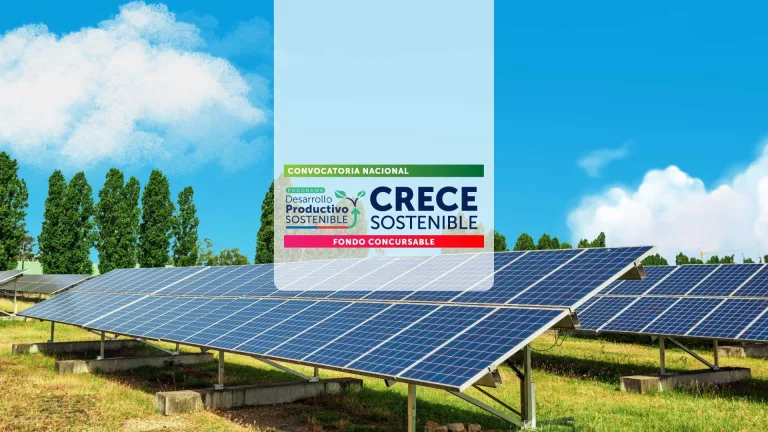Crece Sostenible 2025: nuevo fondo de Sercotec entregará hasta $9 millones a empresas y cooperativas en La Araucanía