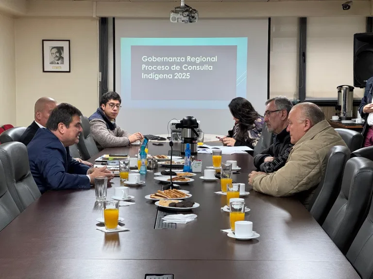 Gobierno presenta hoja de ruta de la Consulta Indígena a diputados de La Araucanía