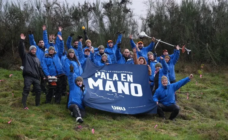 Festival Pala en Mano plantó 4 mil árboles para reforestar el bosque nativo chilote