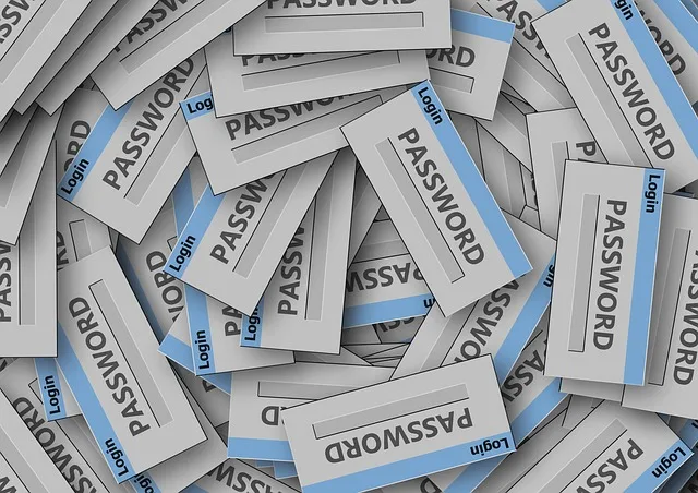 La contraseña más común y fácil de vulnerar en internet