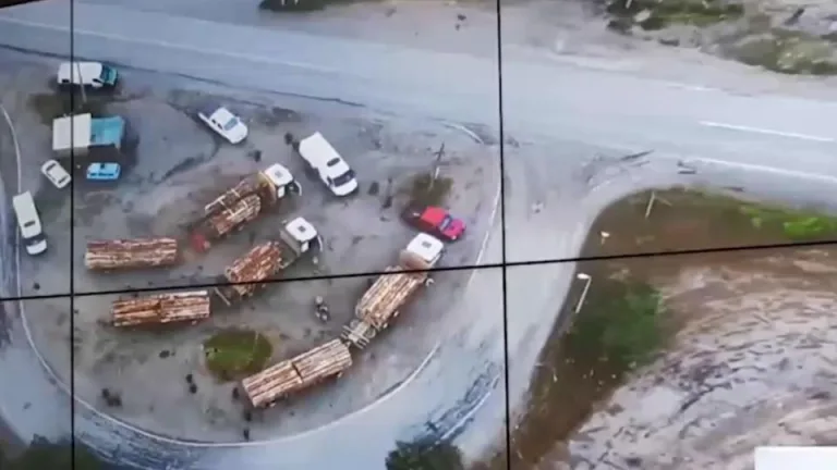 Fiscalía formaliza a siete aserraderos por receptación de madera robada en La Araucanía y Biobío