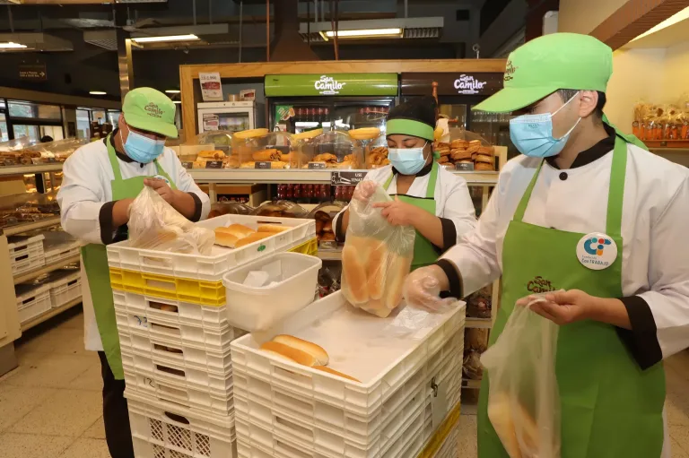 La Araucanía mantiene creación de empleo, pero enfrenta alta presión laboral, con 9,3% de desocupación