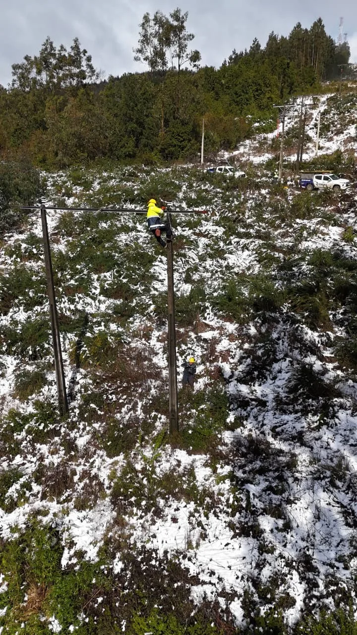Saesa trabaja en sectores rurales de Loncoche afectados por intensas nevadas