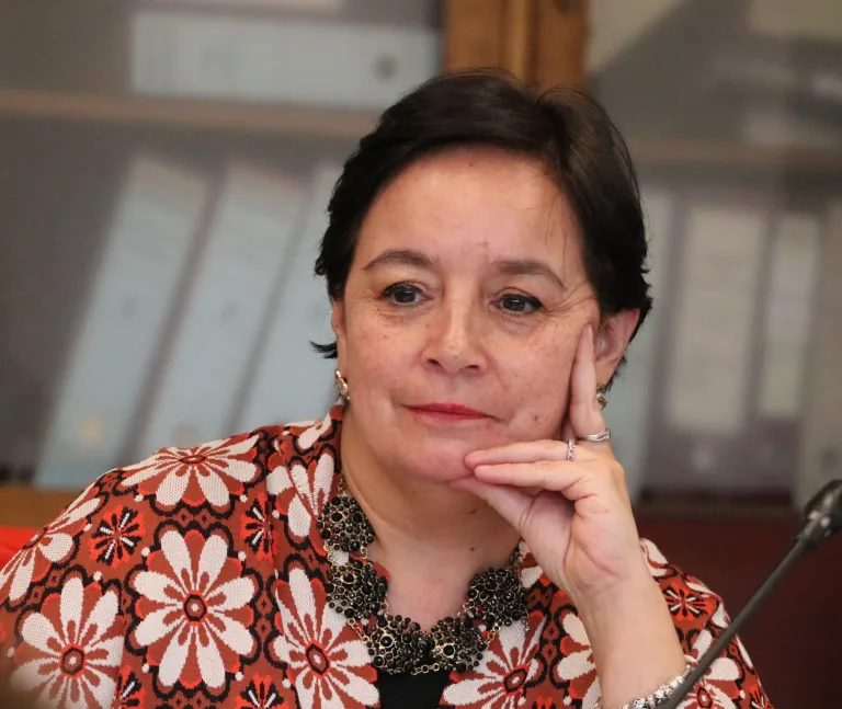 Senadora Carmen Gloria Aravena valora nueva ley que impulsa la presencia de mujeres en directorios: “La Araucanía también necesita más mujeres en la toma de decisiones”