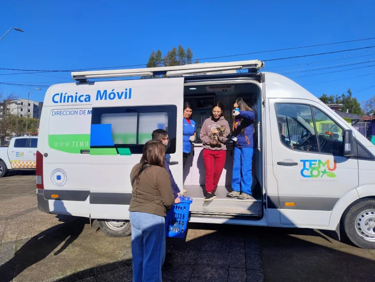 Temuco consolida su compromiso con el bienestar animal con más de 4 mil esterilizaciones en seis meses