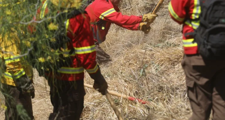 Senadora Carmen Gloria Aravena pide a Comisión de Hacienda priorizar proyecto que fortalece la prevención de incendios forestales