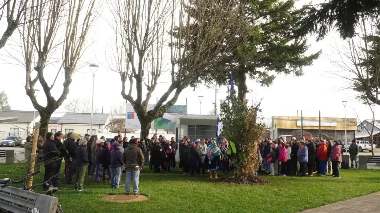 Comunidades Mapuche de Perquenco realizan llellipun por la salud del alcalde Alejandro Sepúlveda