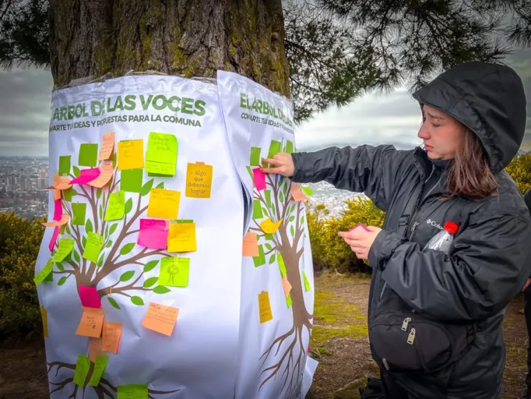 Diagnóstico participativo de juventudes en Padre Las Casas fortalece políticas locales