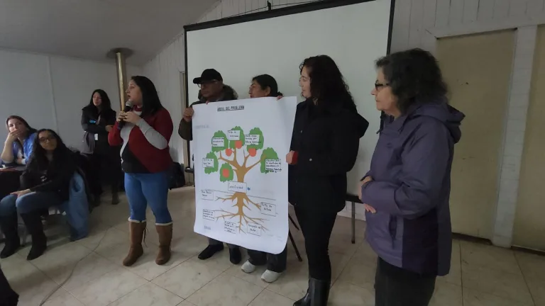 Salud Rural Municipal de Pitrufquén realizó diagnóstico participativo en sector costa