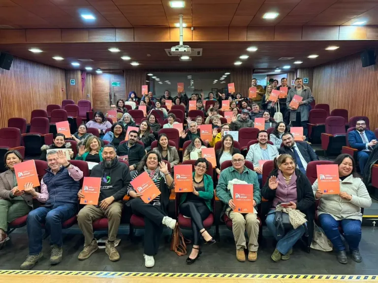 Fondo de Fortalecimiento de Organizaciones de Interés Público 2025: 43 organizaciones beneficiadas en La Araucanía