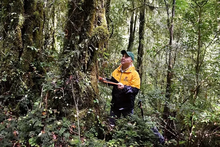 Académico U. Mayor desarrolla investigación pionera en Reserva Nacional Malleco