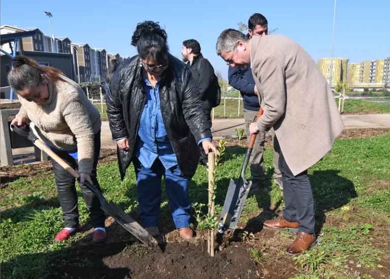 Temuco y CONAF firman convenio de colaboración para plantar 2.000 árboles de la especie Temu y recuperar humedales urbanos
