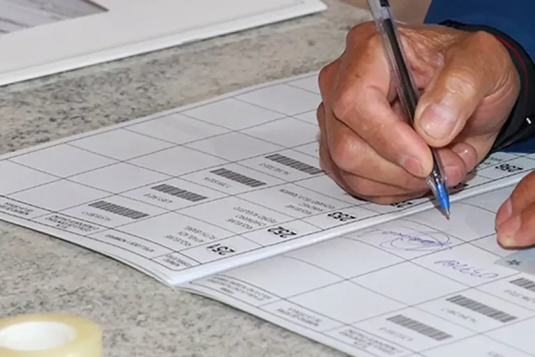 Comienza plazo de reclamaciones al padrón electoral auditado