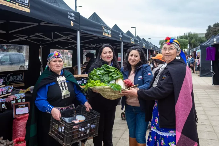 Mercado campesino Newen Zomo de Teodoro Schmidt renueva implementación