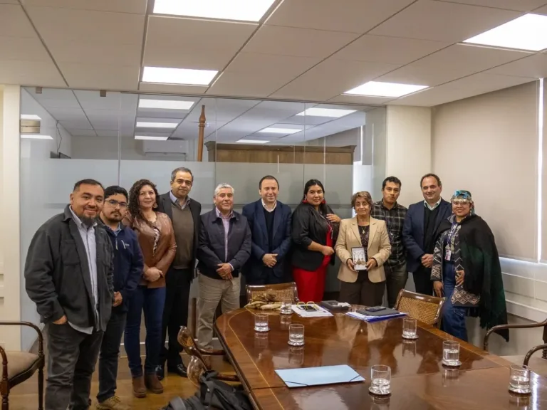 Senador Quintana y alcalde Martínez logran importantes avances con la ministra de Obras Públicas para la conectividad en Toltén