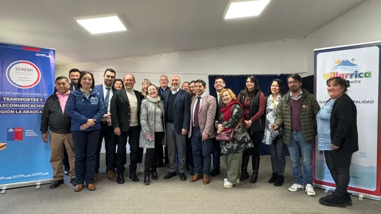 MTT publica licitación para poner en servicio 51 buses eléctricos en Villarrica