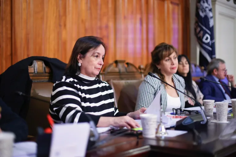 Baja natalidad en Chile: Senado debate corresponsabilidad familiar