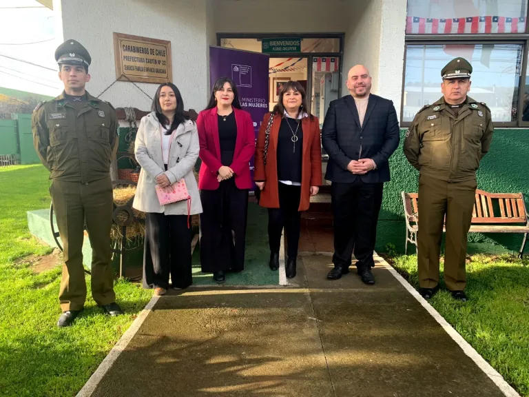 Plan 18 Seguro: En La Araucanía dan a conocer medidas de prevención y protección en casos de violencia de género