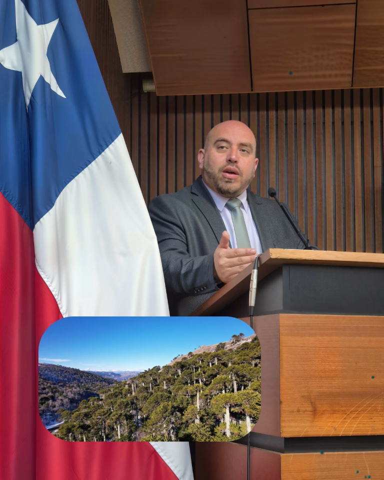 Geoparques: Cuando la seguridad se convierte en política de Estado