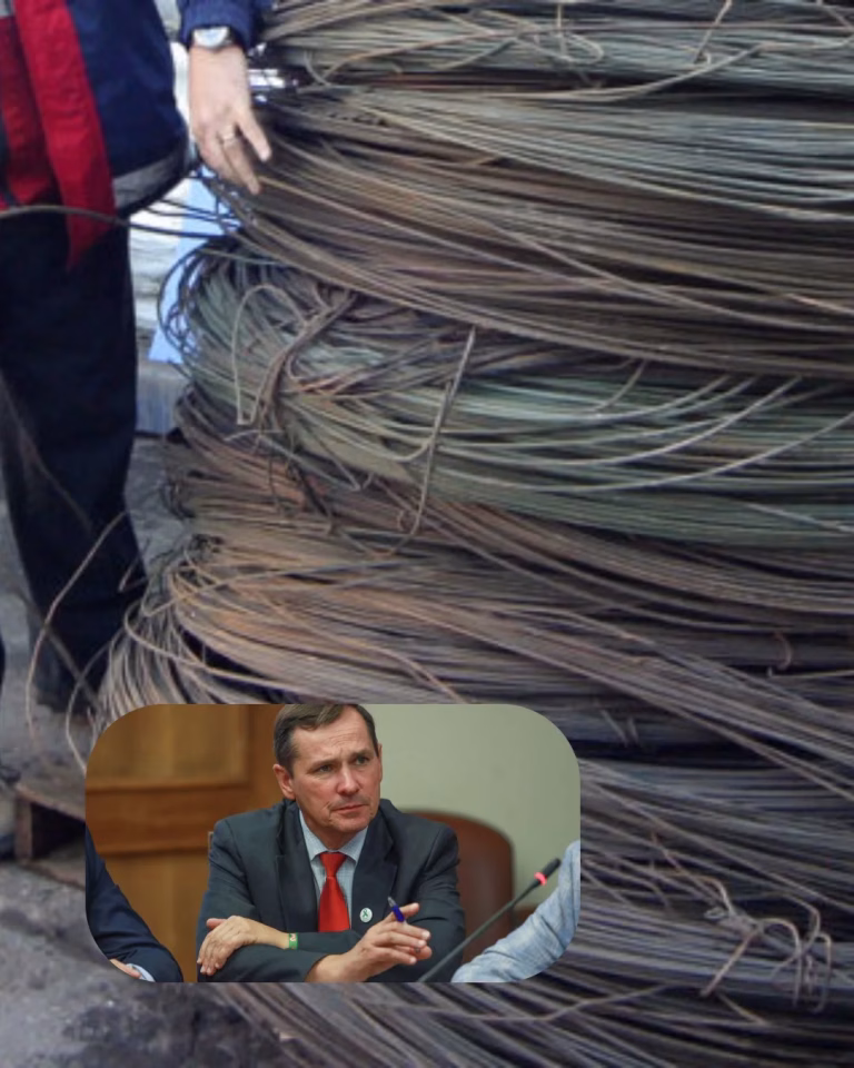 Diputado Jorge Rathgeb denuncia bandas dedicadas al robo de cables eléctricos en La Araucanía