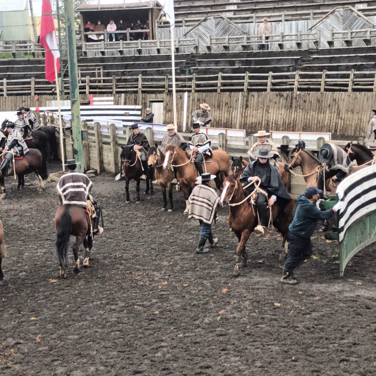 Semana de las Tradiciones Aires del Ñielol: rodeo, remates y despedida en el Parque SOFO