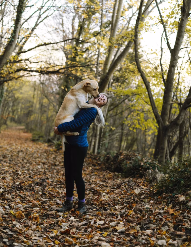Amor, vida y esperanza para perros sin hogar