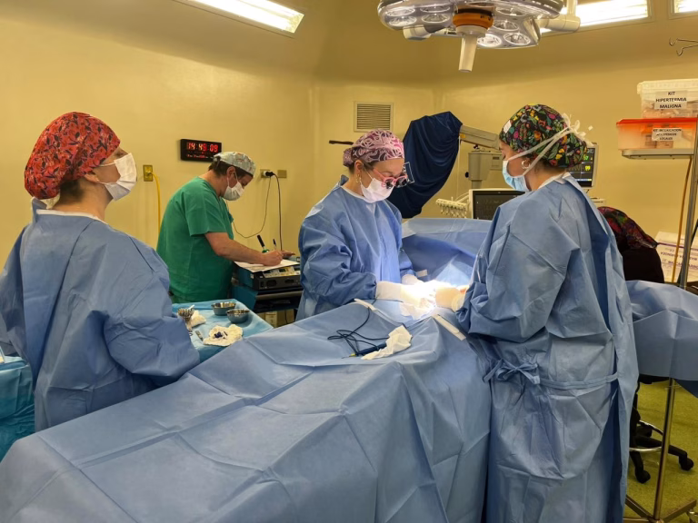“Creciendo sin Espera” llega a Villarrica para reducir la lista de espera quirúrgica infantil