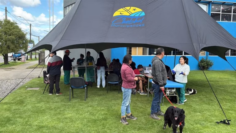 Municipio de Cholchol conmemora Día Mundial contra la Rabia con operativo gratuito para mascotas