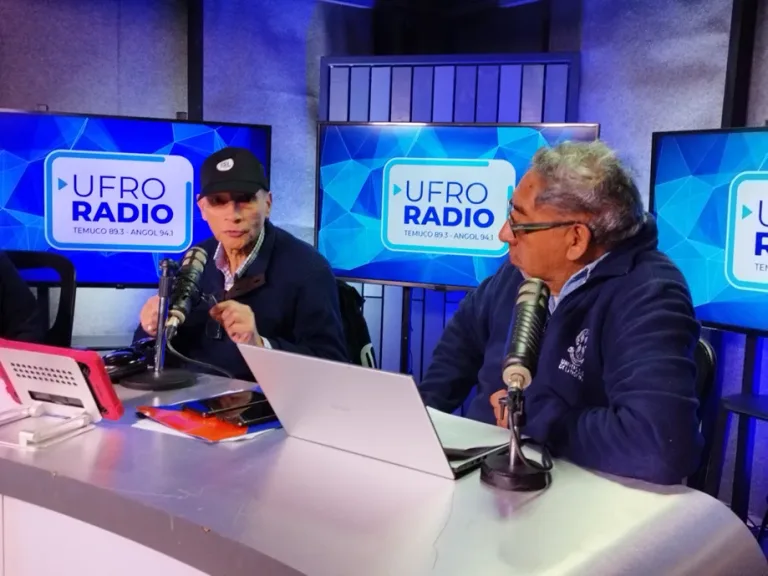 ISL La Araucanía realiza jornada informativa sobre Decreto Supremo 67, Ley SANNA y trabajadores independientes