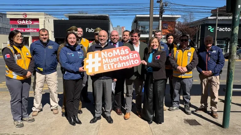 Plan “De 18 a 18”: Autoridades refuerzan fiscalización en Temuco para Fiestas Patrias 2025
